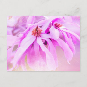  roze bloesems briefkaart