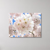 Roze bloesems. canvas afdruk (Voorkant)