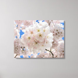 Roze bloesems. canvas afdruk