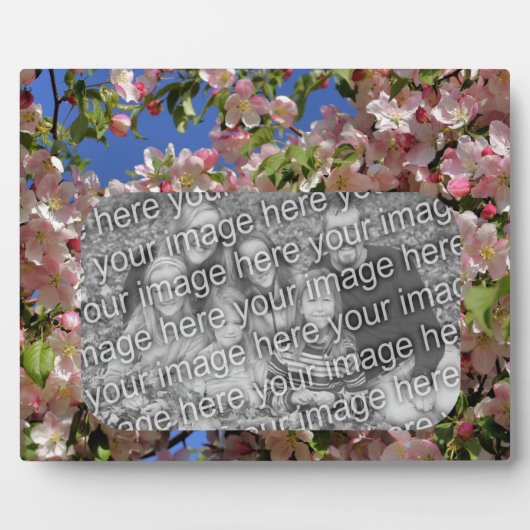 Roze bloesems Creëer Uw eigen foto Fotoplaat (Voorkant)