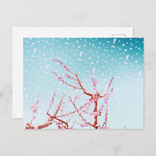 Roze bloesems en vliegbladen (of sneeuw?) briefkaart (Voorkant / Achterkant)