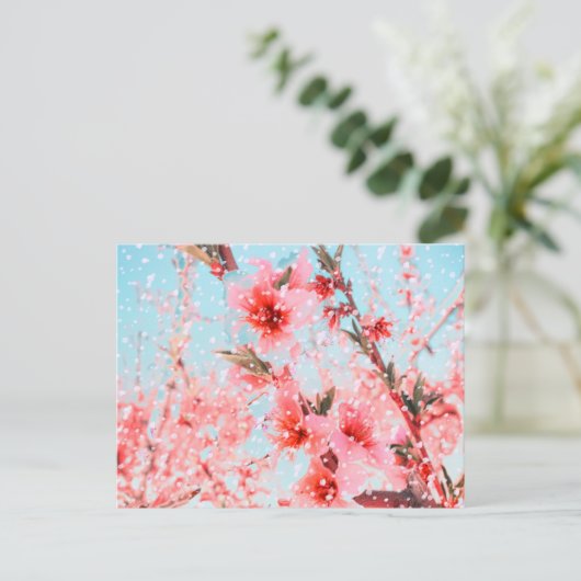 Roze bloesems en vliegbladen (of sneeuw?) briefkaart (Staand voorkant)