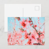 Roze bloesems en vliegbladen (of sneeuw?) briefkaart (Voorkant / Achterkant)