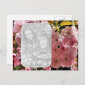 Roze bloesems Floral Foto Briefkaart (Voorkant / Achterkant)