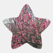 Roze bloesems Floral Sticker (Voorkant)