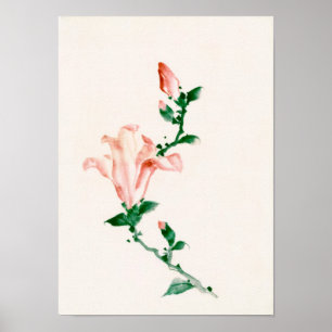 Roze bloesems, Hokusai Japanese Fine Art Poster