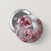Roze bloesems in Lentfoto Ronde Button 5,7 Cm (Voorkant /achterkant)