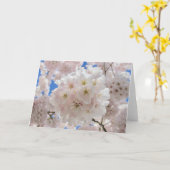 Roze bloesems. kaart (Gele Bloem)