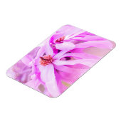  roze bloesems magneet (Linkerzijde)