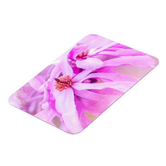  roze bloesems magneet (Linkerzijde)