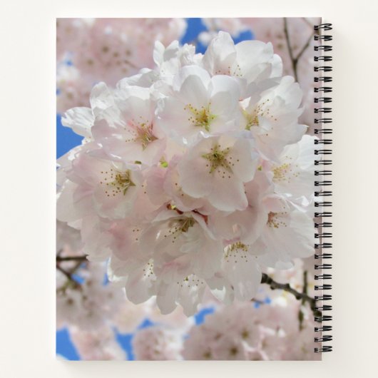 Roze bloesems. notitieboek (Achterkant)