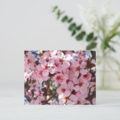 Roze bloesems op sierbloemen briefkaart (Staand voorkant)