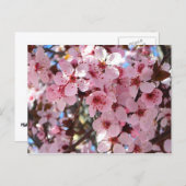 Roze bloesems op sierbloemen briefkaart (Voorkant / Achterkant)