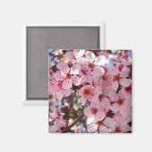 Roze bloesems op sierbloemen magneet (Voorkant / Achterkant)