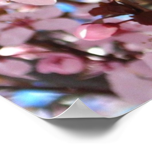 Roze bloesems op sierbloemen poster (Hoek)