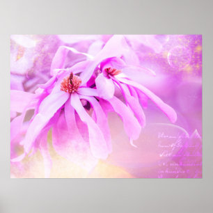 roze bloesems poster