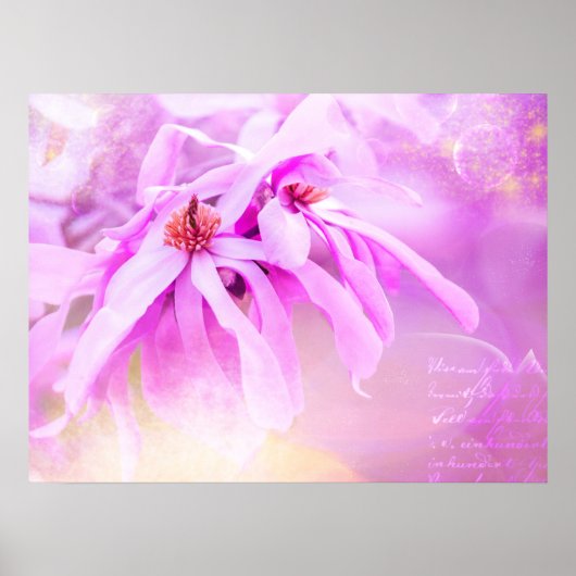  roze bloesems poster (Voorkant)