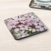 Roze bloesems Red Stems. Bier Onderzetter (Linkerzijde)