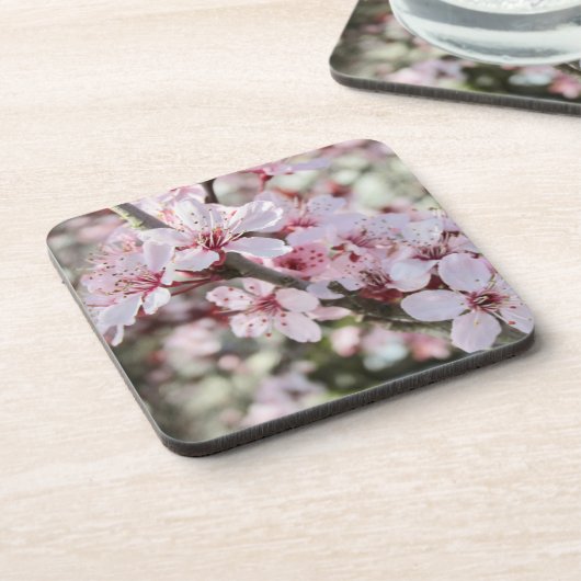 Roze bloesems Red Stems. Bier Onderzetter (Linkerzijde)