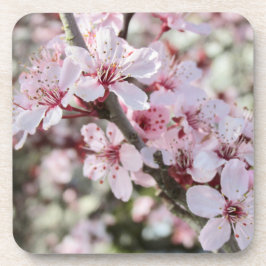 Roze bloesems Red Stems. Bier Onderzetter