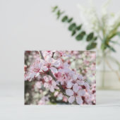 Roze bloesems Red Stems. Briefkaart (Staand voorkant)