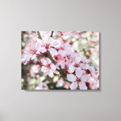 Roze bloesems Red Stems. Canvas Afdruk (Voorkant)