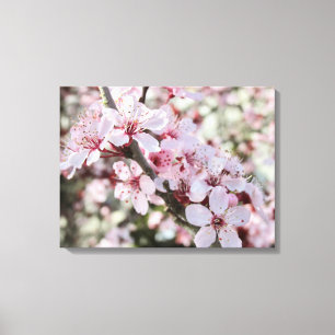 Roze bloesems Red Stems. Canvas Afdruk