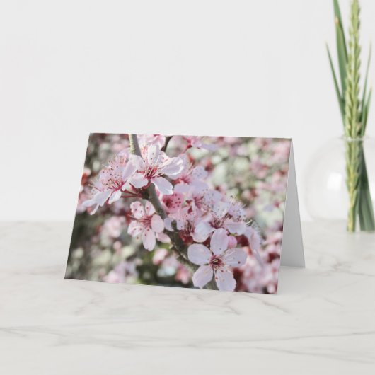 Roze bloesems Red Stems. Kaart (Voorkant)