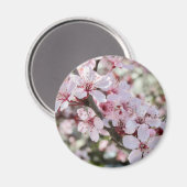 Roze bloesems Red Stems. Magneet (Voorkant / Achterkant)