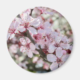 Roze bloesems Red Stems. Magneet