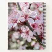 Roze bloesems Red Stems. Notitieboek (Achterkant)