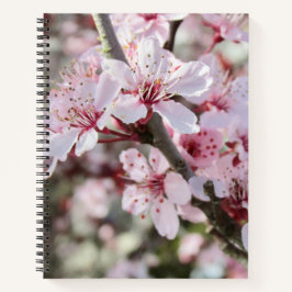 Roze bloesems Red Stems. Notitieboek