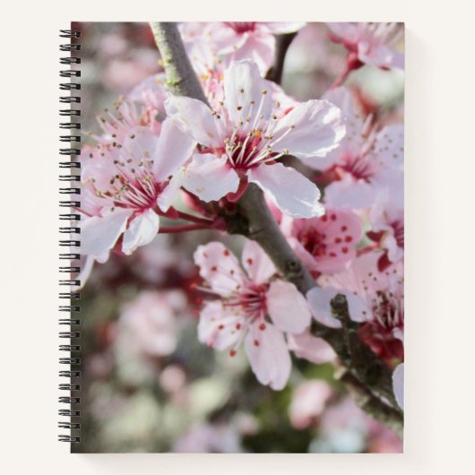 Roze bloesems Red Stems. Notitieboek (Voorkant)