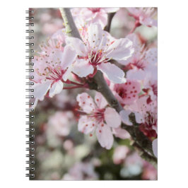 Roze bloesems Red Stems. Notitieboek