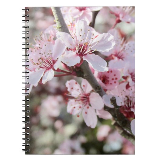 Roze bloesems Red Stems. Notitieboek (Voorkant)