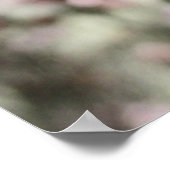 Roze bloesems Red Stems. Poster (Hoek)