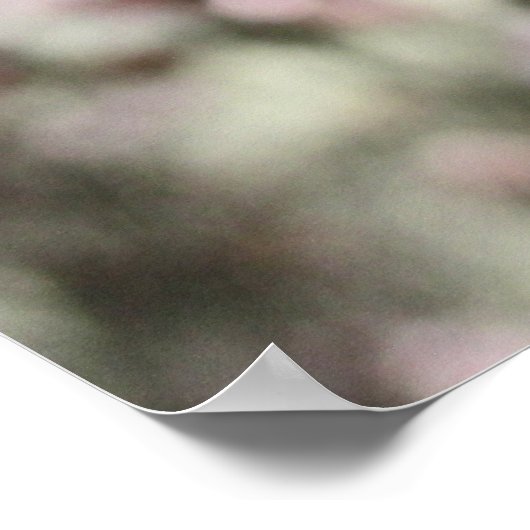 Roze bloesems Red Stems. Poster (Hoek)