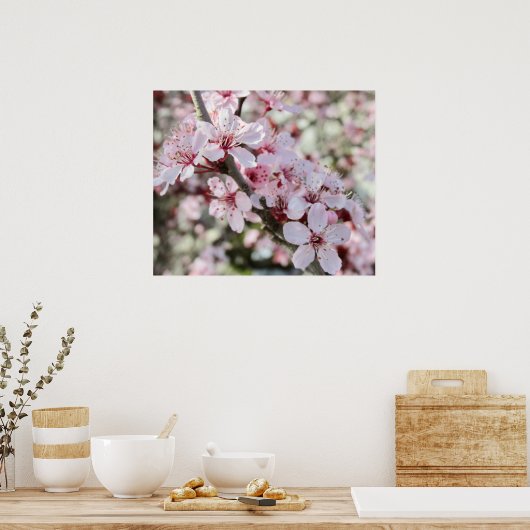 Roze bloesems Red Stems. Poster (Keuken)