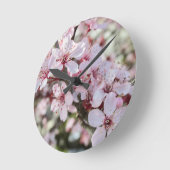 Roze bloesems Red Stems. Ronde Klok (Hoek)