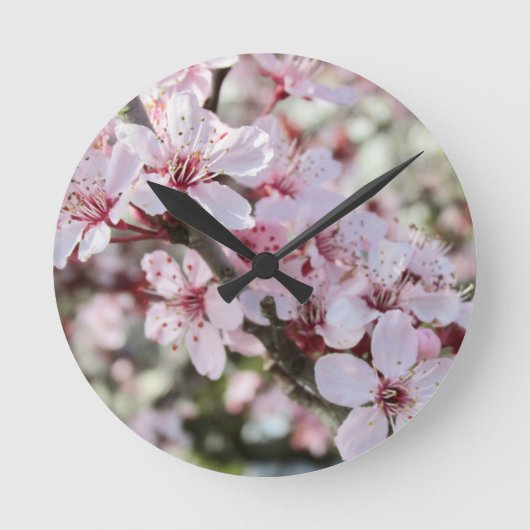 Roze bloesems Red Stems. Ronde Klok (Voorkant)