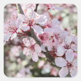 Roze bloesems Red Stems. Vierkante Sticker