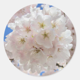 Roze bloesems. ronde sticker