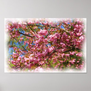 Roze bloesems Waterverf Foto's Bloembloemen schild Poster