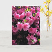 Roze bloesems Wenskaart Kaart (Gele Bloem)