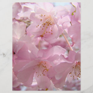 Roze Bloesemvlinders Flyers papier Aangepast