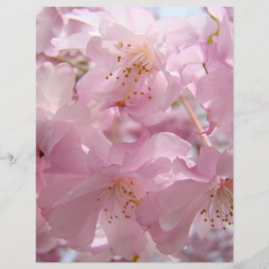 Roze Bloesemvlinders Flyers papier Aangepast (Voorkant)
