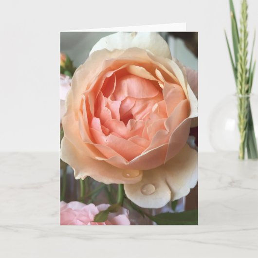 Roze Blogcard Kaart (Voorkant)