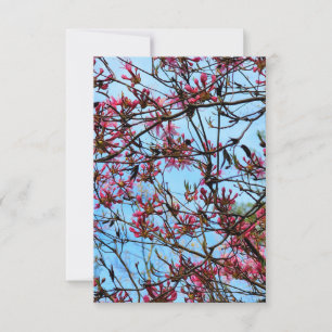 Roze blokjes op een boom kaart