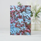 Roze blokjes op een boom kaart (Staand voorkant)