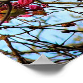 Roze blokjes op een boom poster (Hoek)